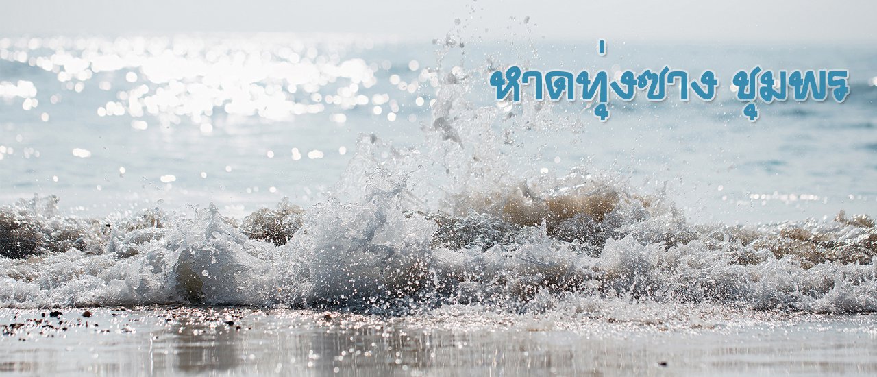 cover เมื่อโดนเทก็เซไป "หาดทุ่งซาง"