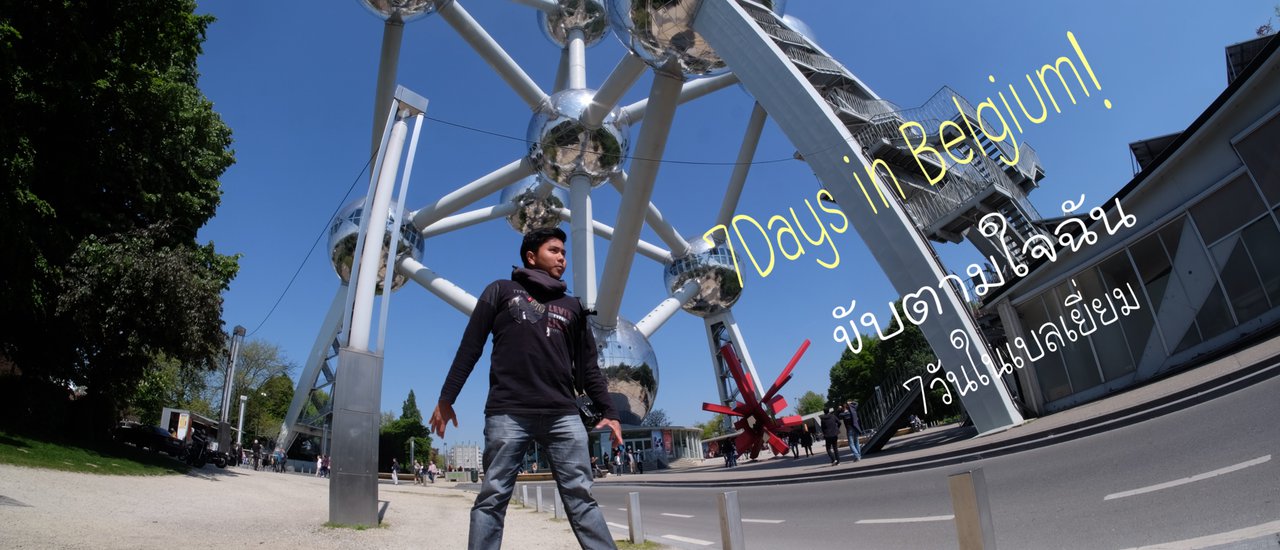 cover ขับตามใจฉัน 7 วันในเบลเยี่ยม(1)