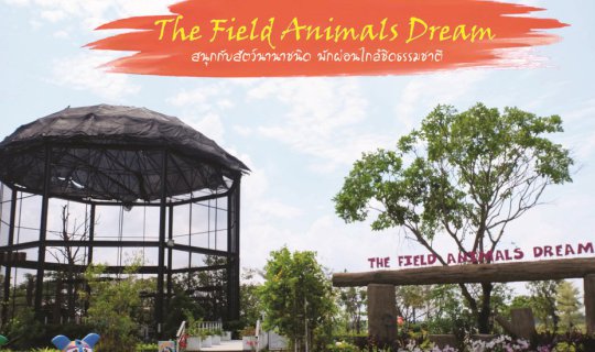 cover The Field Animals Dream : สนุกกับสัตว์นานาชนิด พักผ่อนใกล้ชิดธรรมชาติ