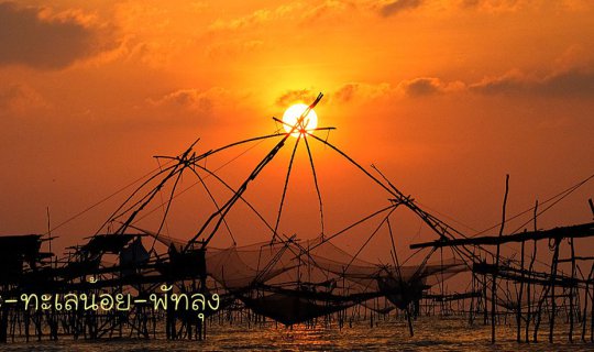 cover ทะเลน้อย-ปากประ จุดถ่ายอาทิตยามเช้าที่สวยที่สุด