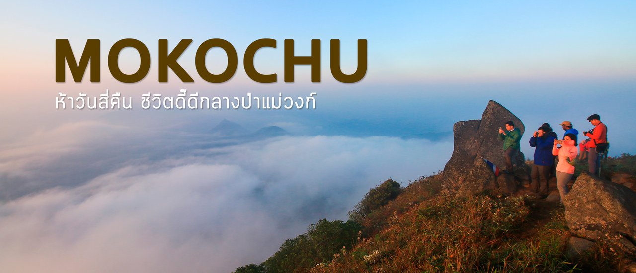 cover โอ้โหโมโกจู ห้าวันสี่คืน ชีวิตดี๊ดีกลางป่าแม่วงก์