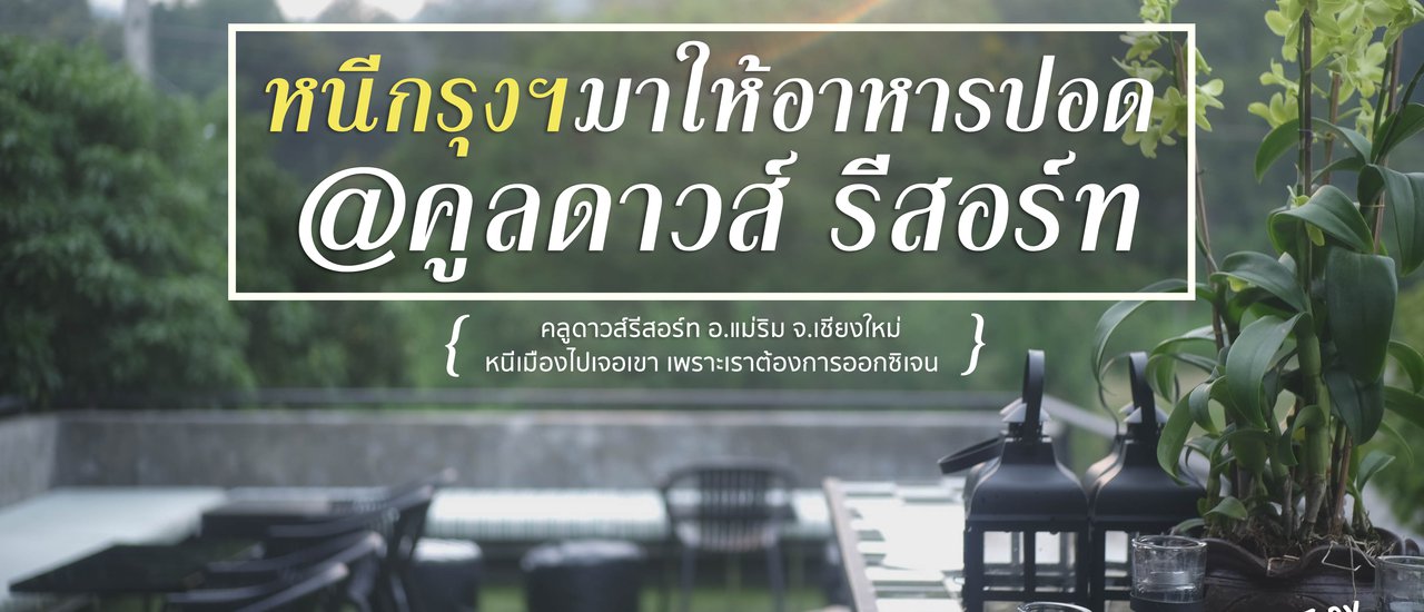 cover Escape from the city and make your lung fresh at Mon Jam Bay : @ Cool Downs Resort Chiang Mai