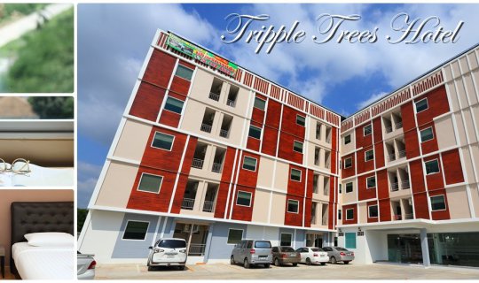 cover Triple Trees Hotel: พักชิล นอนสบาย ใกล้กรุง ในราคาแค่หลักร้อย