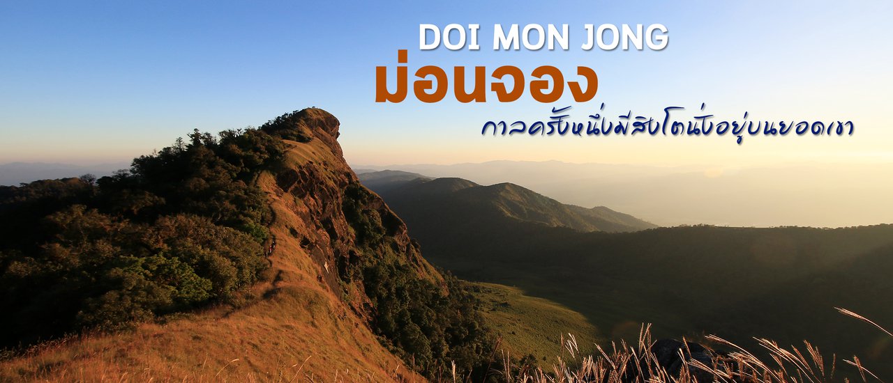 cover ม่อนจอง กาลครั้งหนึ่งมีสิงโตนั่งอยู่บนยอดเขา