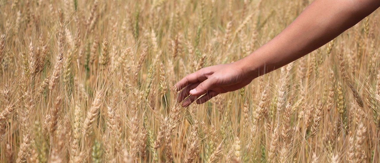 cover Samoeng Loop 1269 : เชียงใหม่ - สะเมิง เส้นทางสายดอกไม้