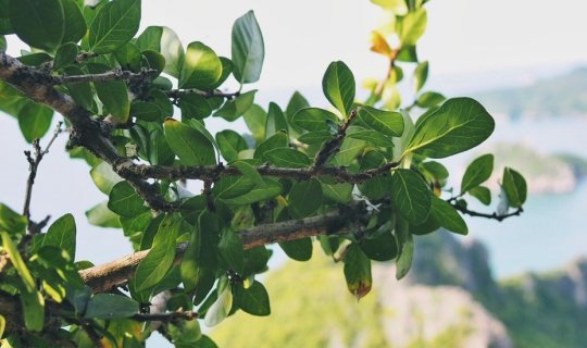 cover นอนริมหาดแล้วไปพิชิตเขาล้อมหมวก