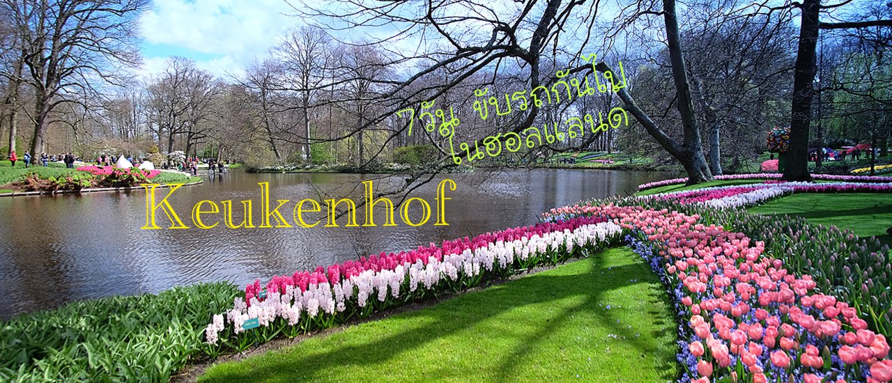 cover 7วัน ...ขับรถกันไป  ในฮอลแลนด์(5)