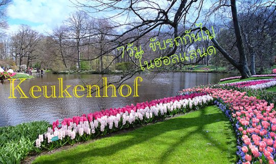 cover 7วัน ...ขับรถกันไป  ในฮอลแลนด์(5)