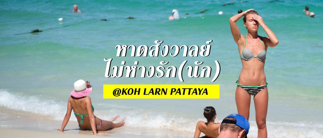 cover หาดสังวาลย์ ไม่ห่างรัก(นัก) : เกาะล้าน พัทยา