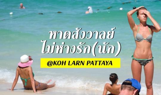 cover หาดสังวาลย์ ไม่ห่างรัก(นัก) : เกาะล้าน พัทยา