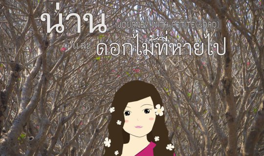 cover น่าน และ ดอกไม้ที่หายไป