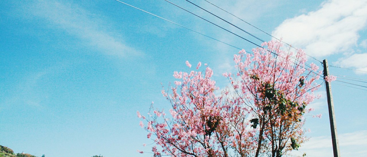cover 2 คืน 3 วัน ตะลอนหลุดกรอบจาก“เลย” สู่ “เพชรบูรณ์”