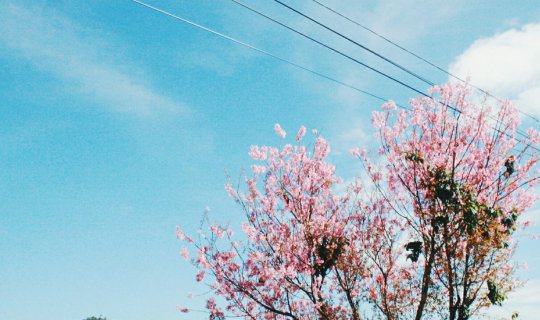 cover 2 คืน 3 วัน ตะลอนหลุดกรอบจาก“เลย” สู่ “เพชรบูรณ์”