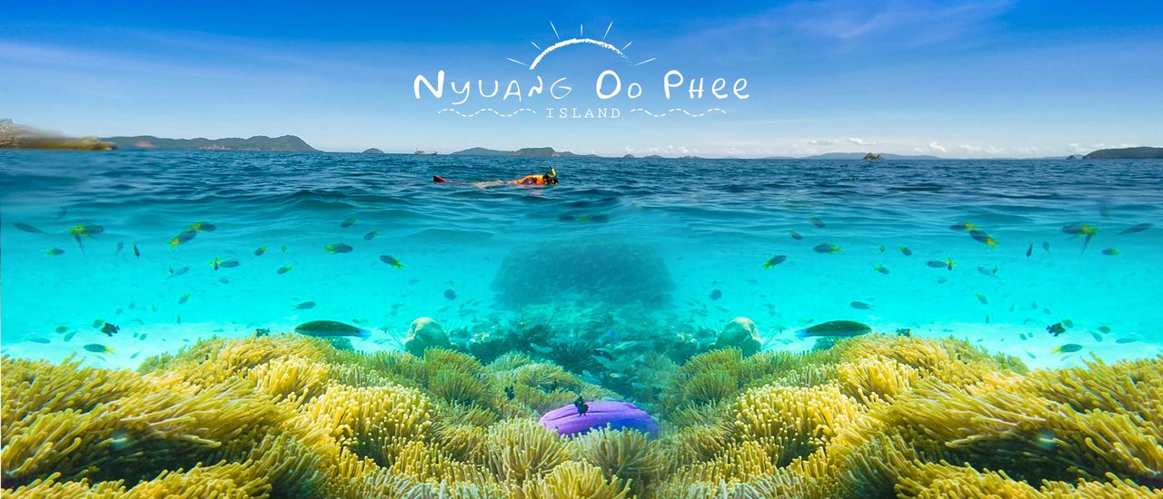 cover "Nyuang Do Phee" The  heaven of underwater ... The most beautiful island that we have ever seen..