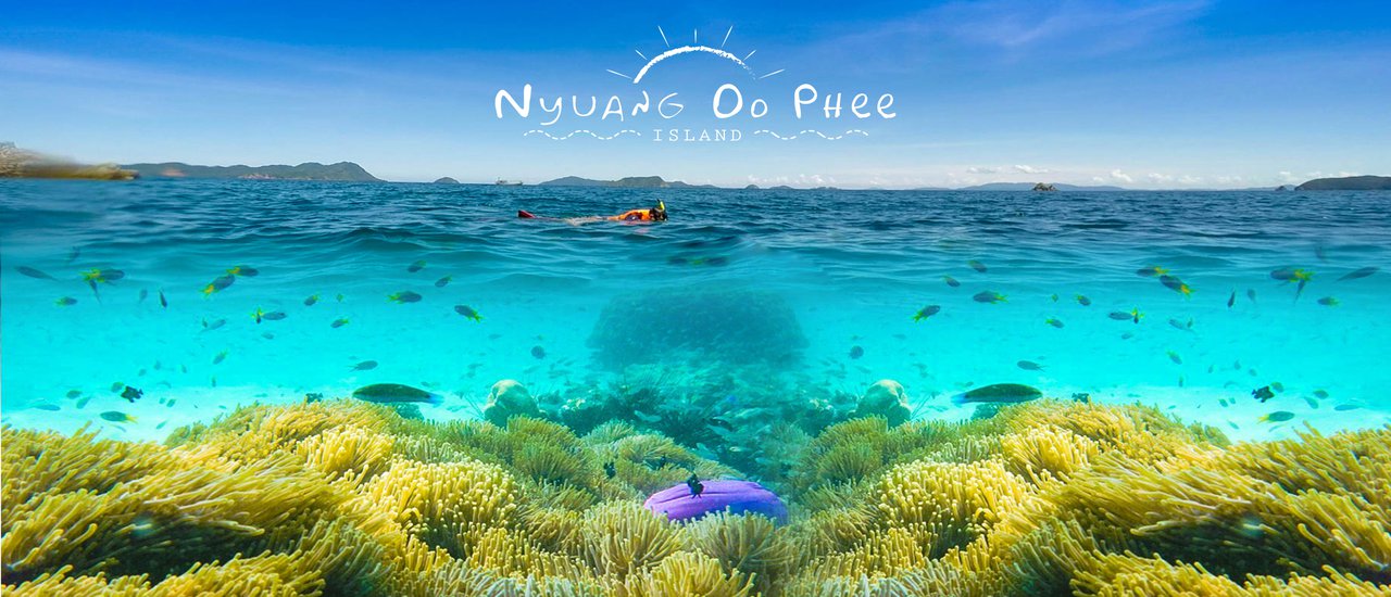 cover "Nyuang Do Phee" The heaven of underwater ... The most beautiful island that we have ever seen..