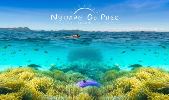 cover "Nyuang Do Phee" The  heaven of underwater ... The most beautiful island that we have ever seen..