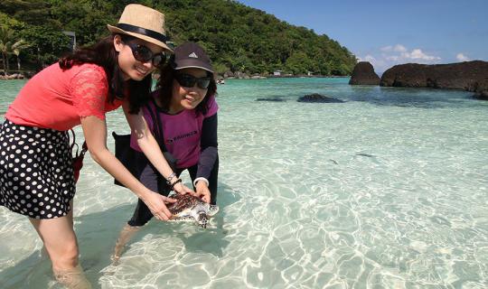 cover ไปปล่อยเต่า ปล่อยปู ปลูกปะการัง เที่ยวรักษ์โลกสไตล์ Low Carbon Holiday ณ ทะเลตราด