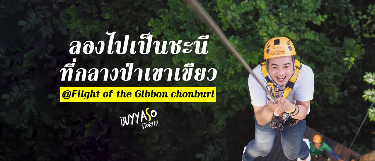 cover Trying to be a gibbon in the middle of Khao Kheow jungle @FLIGHT OF THE GIBBON CHONBURI