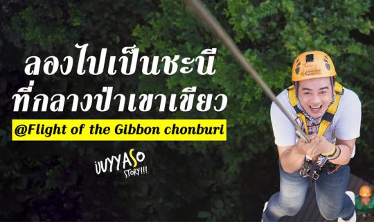 cover Trying to be a gibbon in the middle of Khao Kheow jungle @FLIGHT OF THE GIBBON CHONBURI