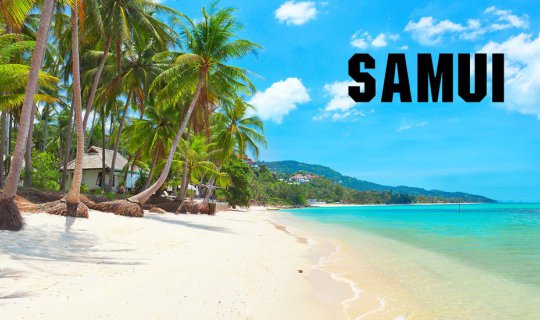 cover สมงสมุย สมุยสมง ไปเที่ยวสมุยกันเถอะ