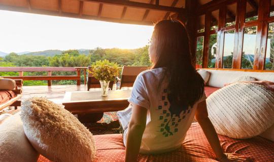 cover Enjoy Mountain, Foggy and Flowers @ Doi Isara, Chiang Rai