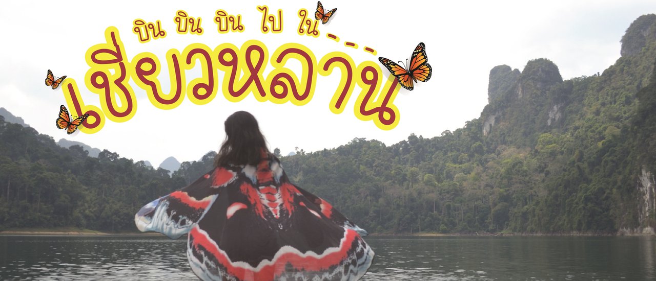 cover บิน บิน ไป ใน เชี่ยวหลาน