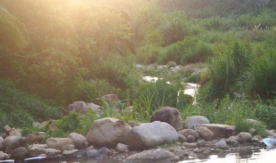 cover ใครไม่เหนือ แต่น้ำตกเหนือ(คลอง) @สุราษฎร์ธานี