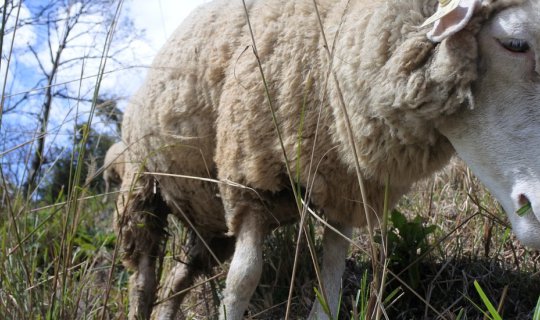 Cover ไต้หวัน ไปให้รู้ Part II...