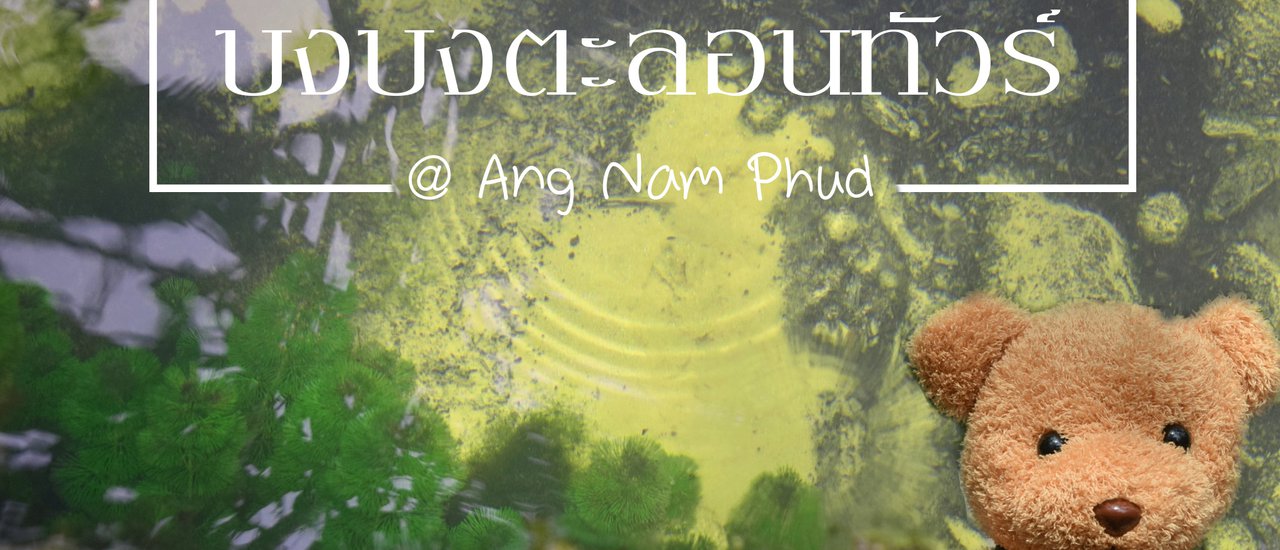 cover บงบงตะลอนทัวร์