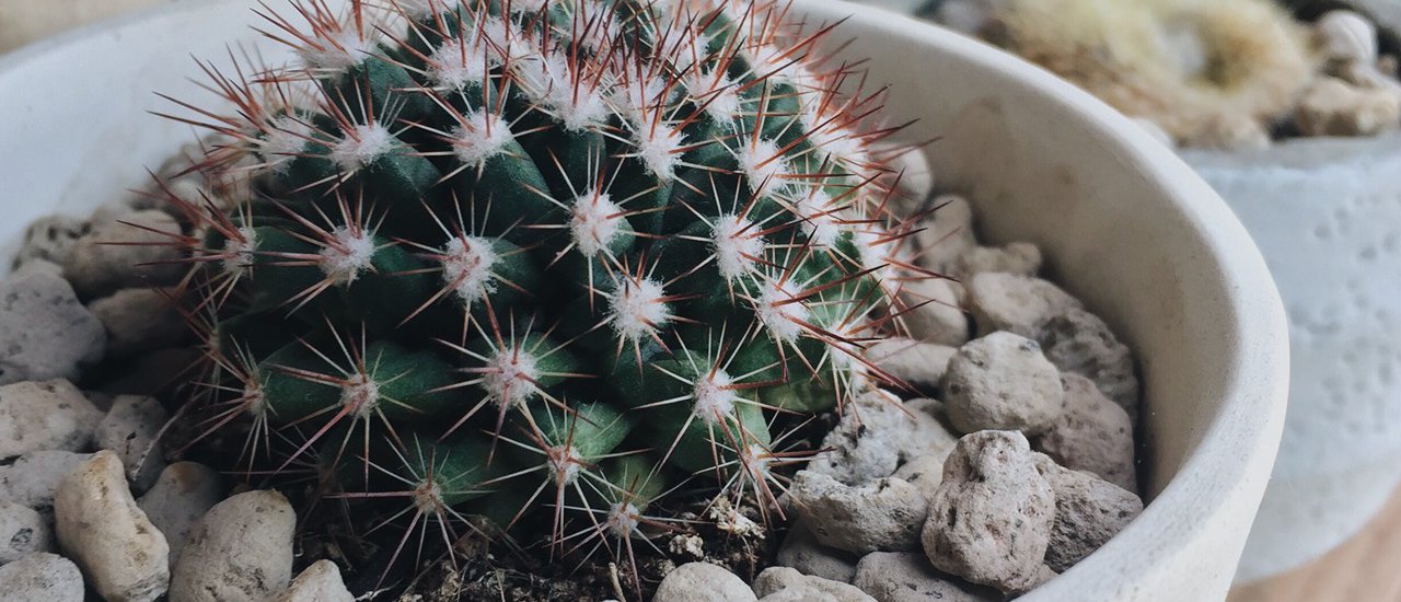 cover 5 คาเฟ่สุดชิค@สุราษฏร์