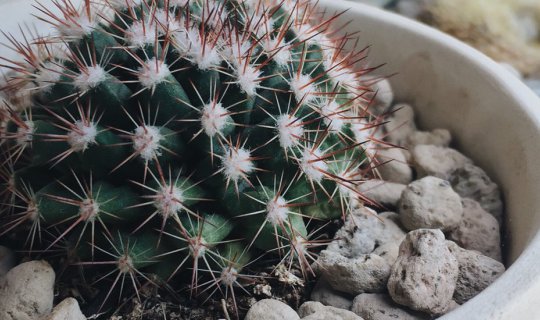 cover 5 คาเฟ่สุดชิค@สุราษฏร์