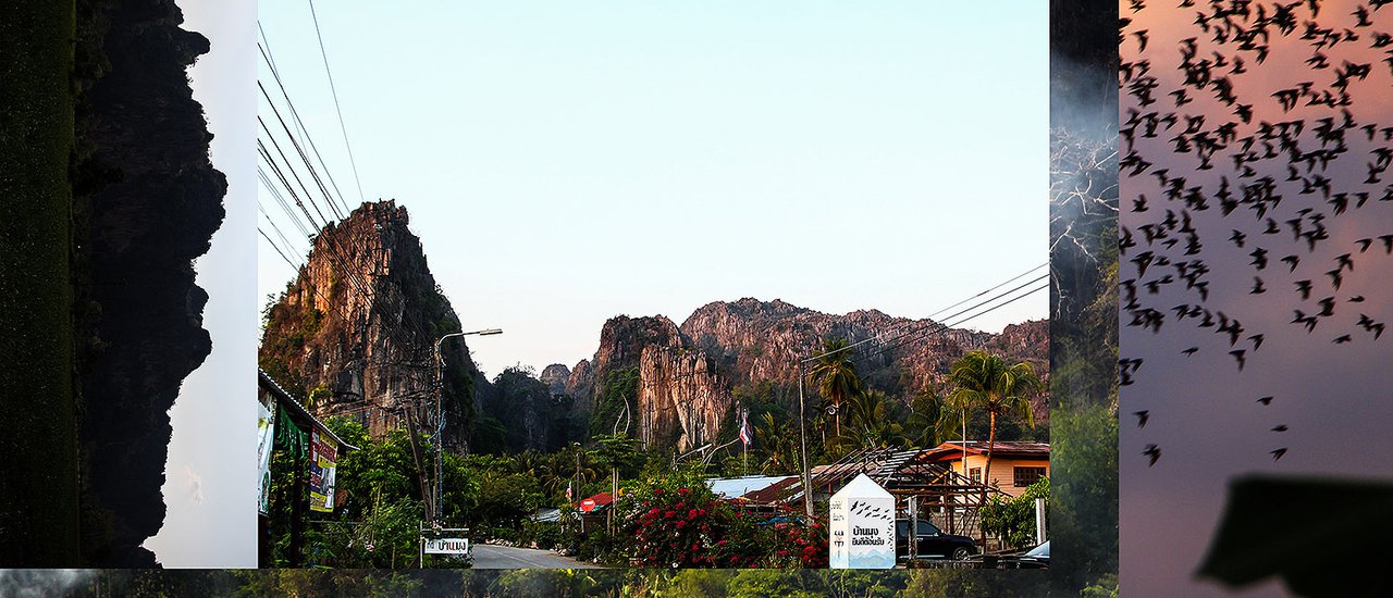 cover เนินมะปรางถ่างตาไป