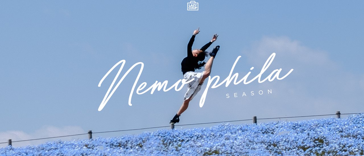 cover 4,500,000 Nemophilas - Indistinguishable from the sky 💙