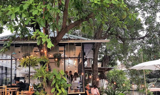 Cover Café de canal - ก า แ ฟ ริ ม ค ล อ ง...