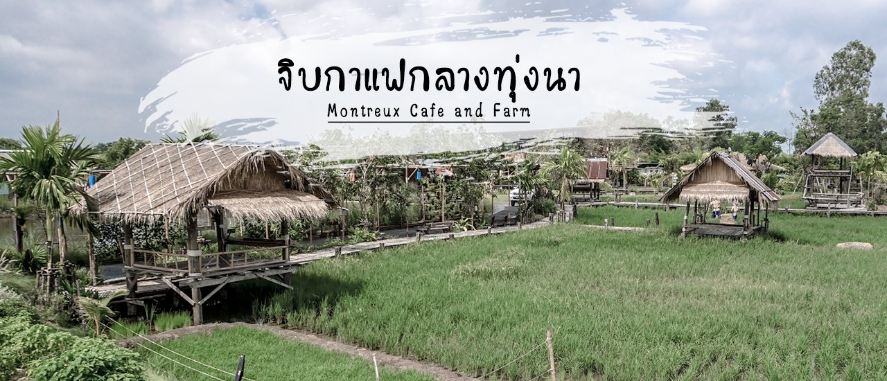 cover จิบกาแฟกลางทุ่งนา หยิบต้นข้าวมาปลูก วิ่งเล่นสไลเดอร์โคลน
