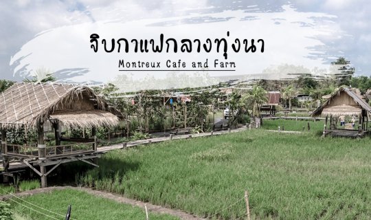cover จิบกาแฟกลางทุ่งนา หยิบต้นข้าวมาปลูก วิ่งเล่นสไลเดอร์โคลน