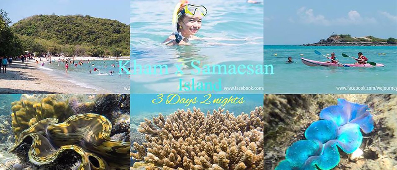 cover เกาะแสมสาร x เกาะขาม : ฉันจะพาเธอไป..ดำน้ำ ดูปะการัง 3 Days 2 nights