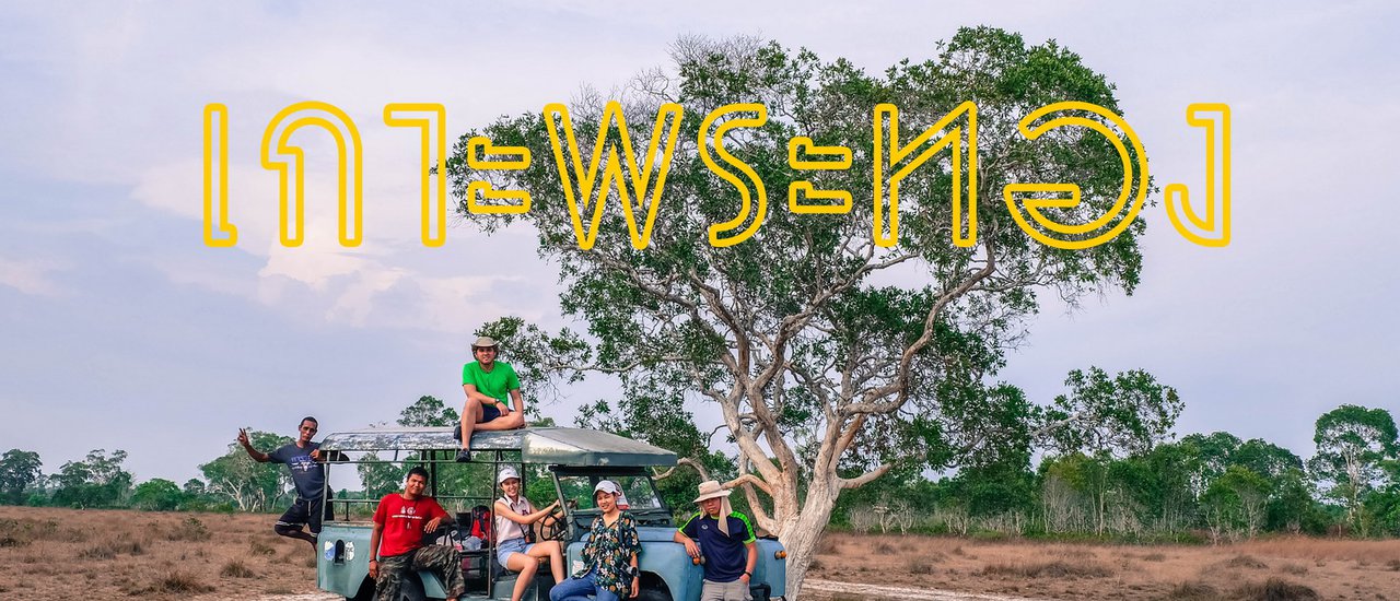 cover ใช้ชีวิตติดเกาะพระทอง : แลกวางม้า ส่องนกตะกรุม ชมทุ่งหญ้าสีทอง