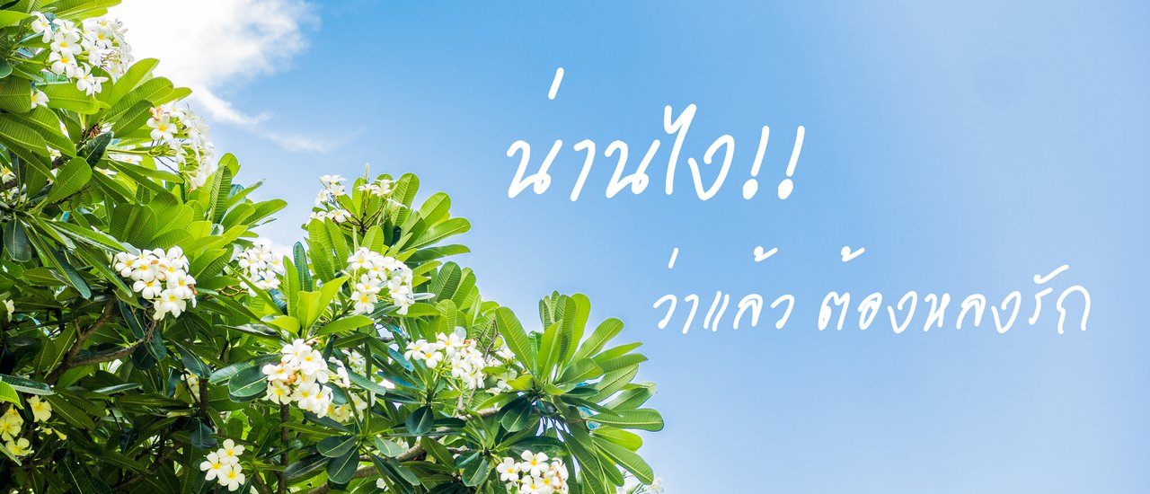 cover "น่าน"ไง ว่าแล้ว ต้องหลงรัก