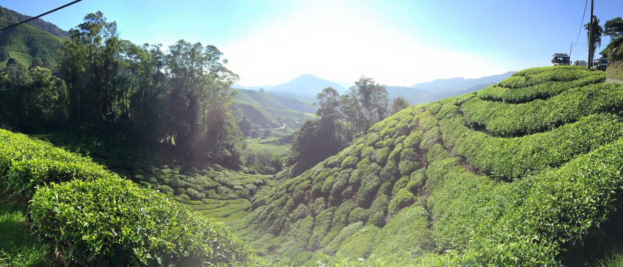 cover ปีนัง-คาเมรอน 5วัน4คืน ทริปเล็กๆของแม่ลูกตัวเล็กๆ