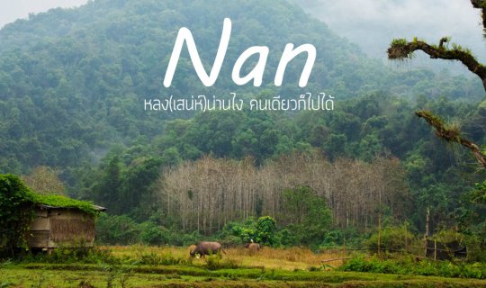 Cover หลง(เสน่ห์)น่านไง ไม่มีรถก็ไปได้...