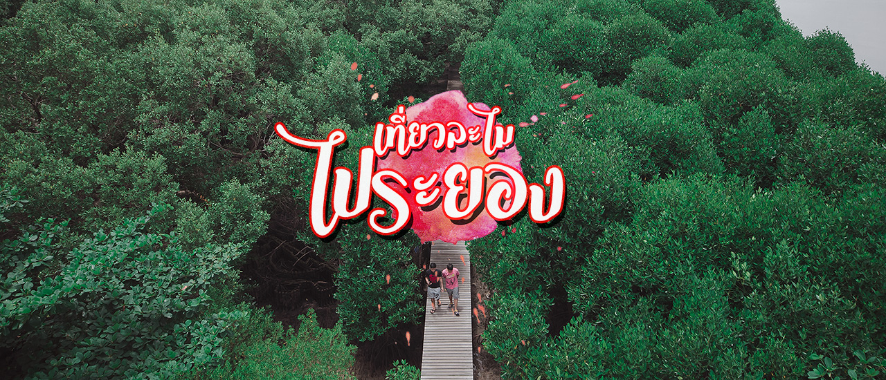 cover เที่ยวละไมไประยอง