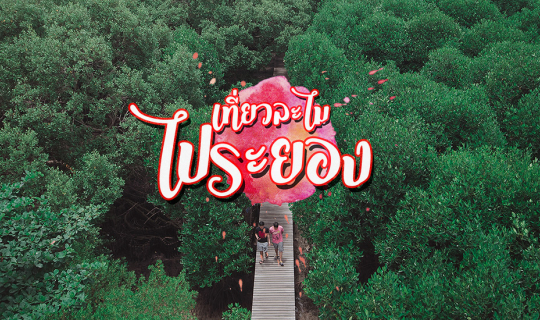 cover เที่ยวละไมไประยอง