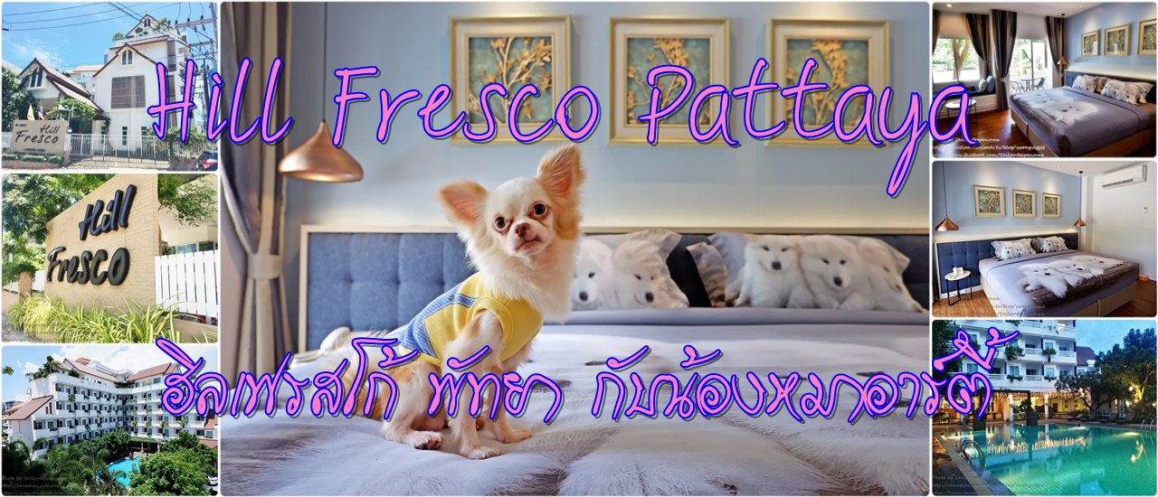 cover เที่ยวทะเลพัทยา กับน้องหมา อาร์ตี้ .... และที่พักสุดเก๋ Hill Fresco Pattaya (ฮิลเฟรสโก้ พัทยา)