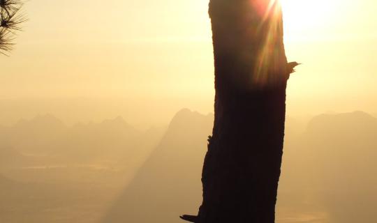 cover เที่ยวคนเดียว ภูกระดึง จ.เลย