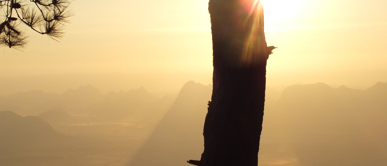 cover Traveling alone at Phu Kradueng, Loei