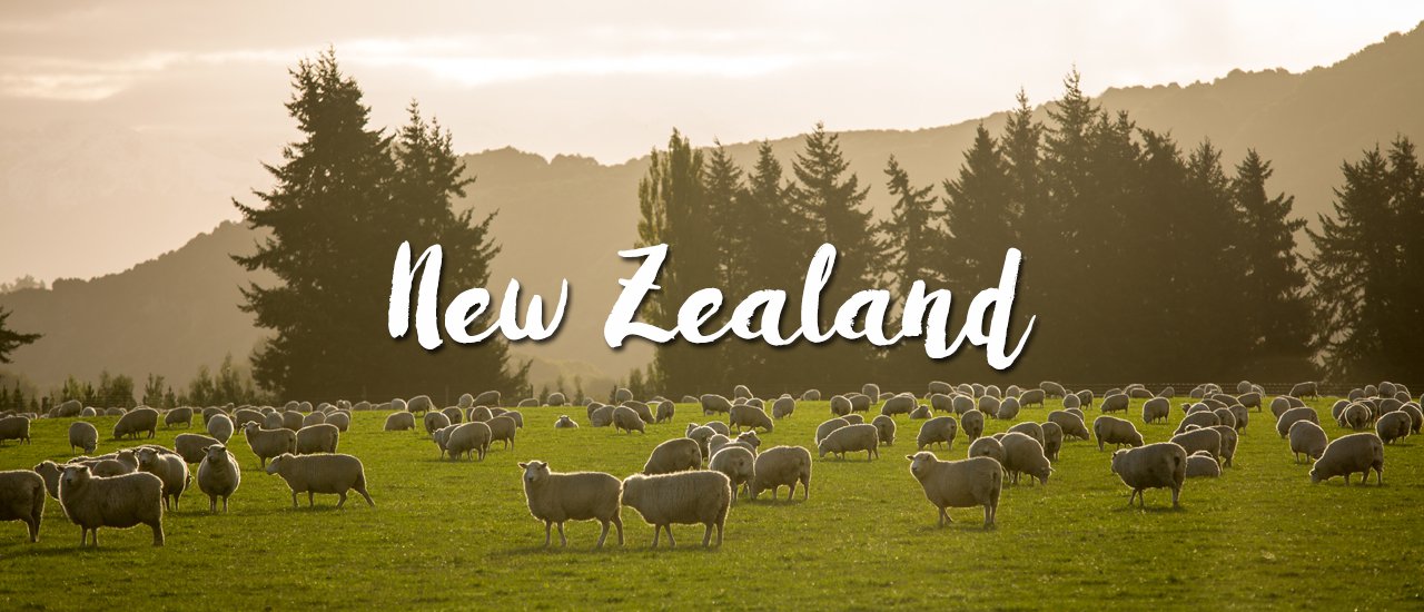 cover 24 Must-Visit Attractions on the South Island, New Zealand.