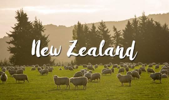 cover 24 Must-Visit Attractions on the South Island, New Zealand.