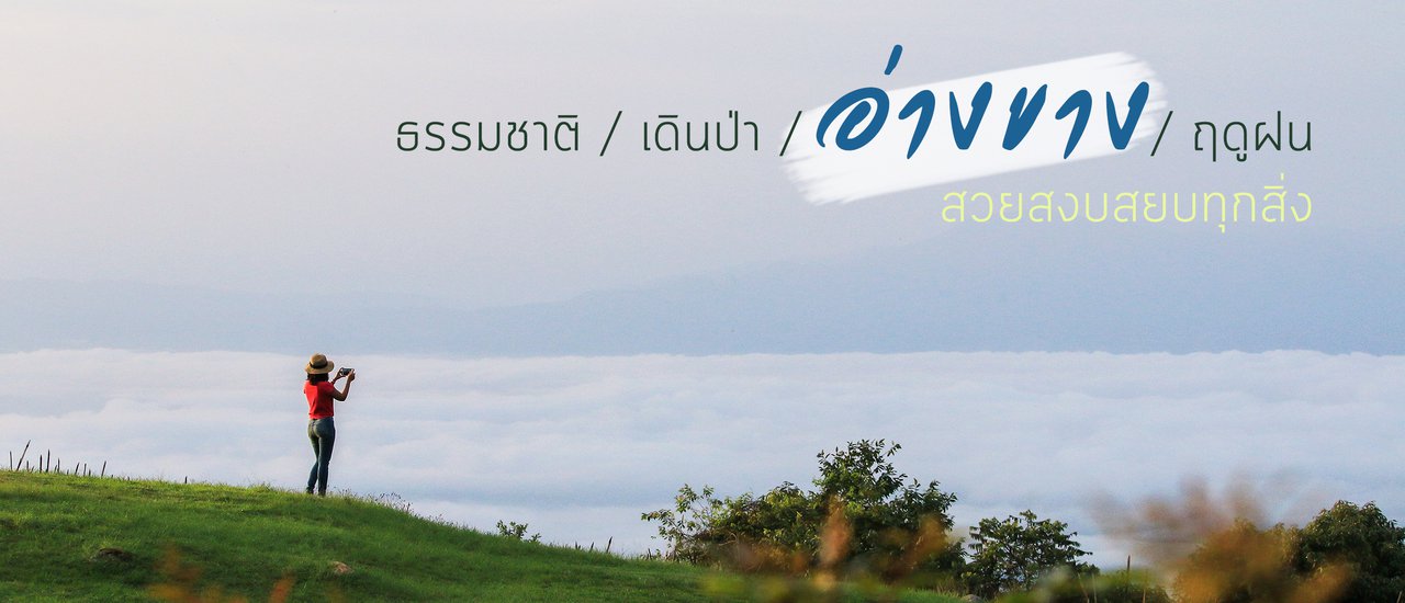 cover ธรรมชาติ / เดินป่า / อ่างขาง / ฤดูฝน สวยสงบสยบทุกสิ่ง