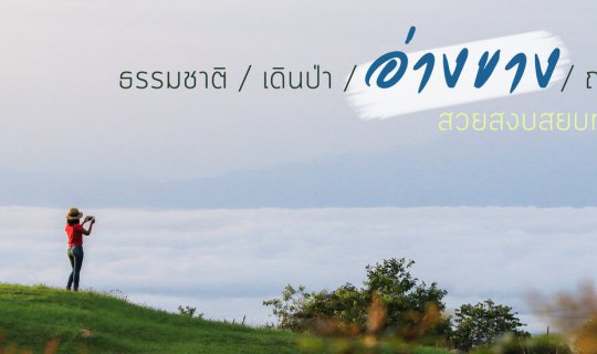 cover ธรรมชาติ / เดินป่า / อ่างขาง / ฤดูฝน สวยสงบสยบทุกสิ่ง